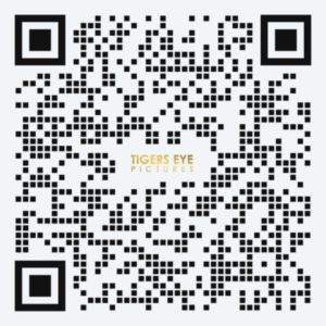 Tigers Eye Pictures SL QR