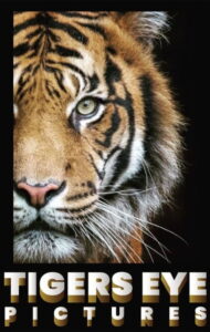 Tigers Eye Pictures Footer Logo